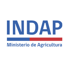 INDAP